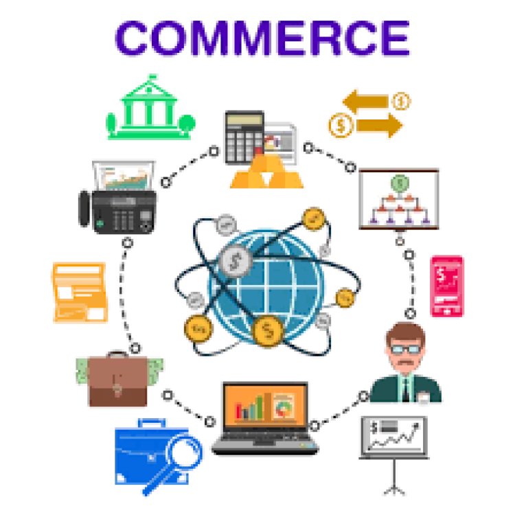 Commerce Definition in Business